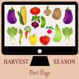 Harvest Season