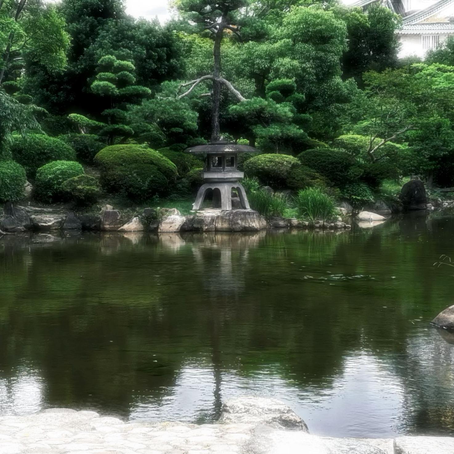 逆流