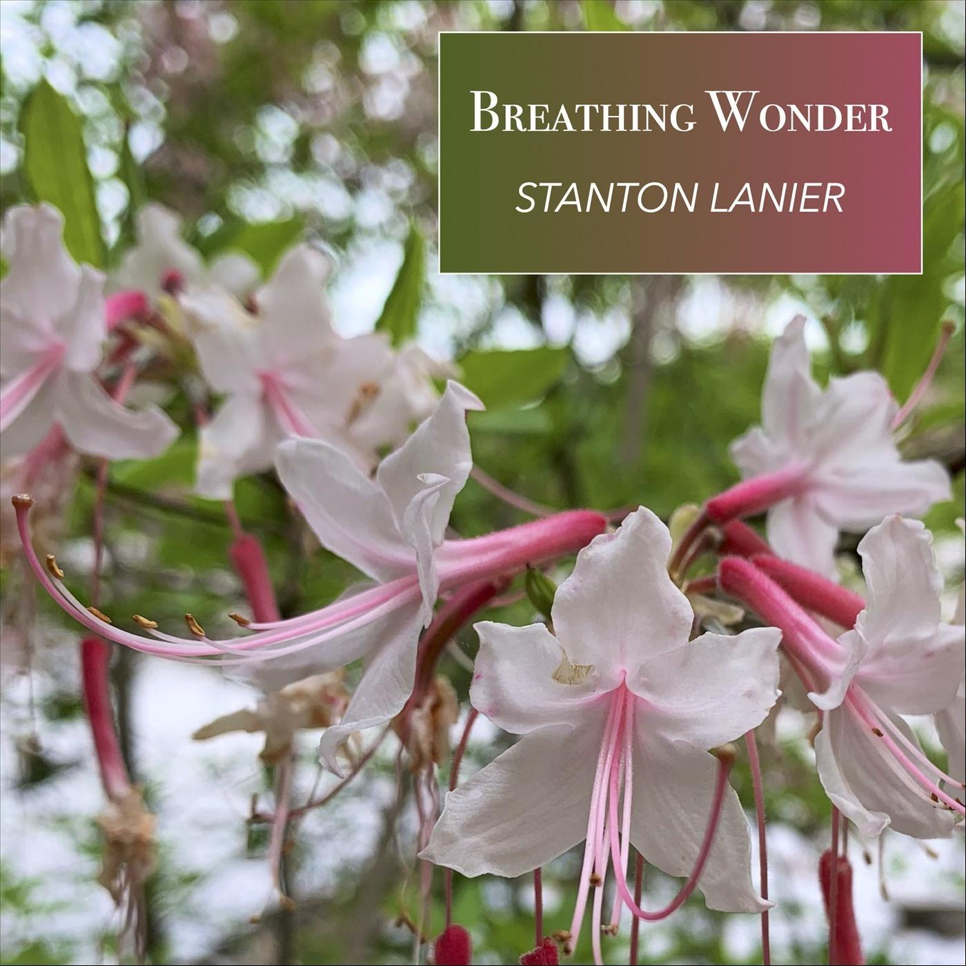 Breathing Wonder