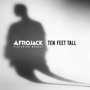 afrojack - Ten Feet Tall （降6半音）