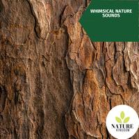 Whimsical Nature Sounds