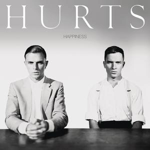 Hurts-Wonderful Life  立体声伴奏