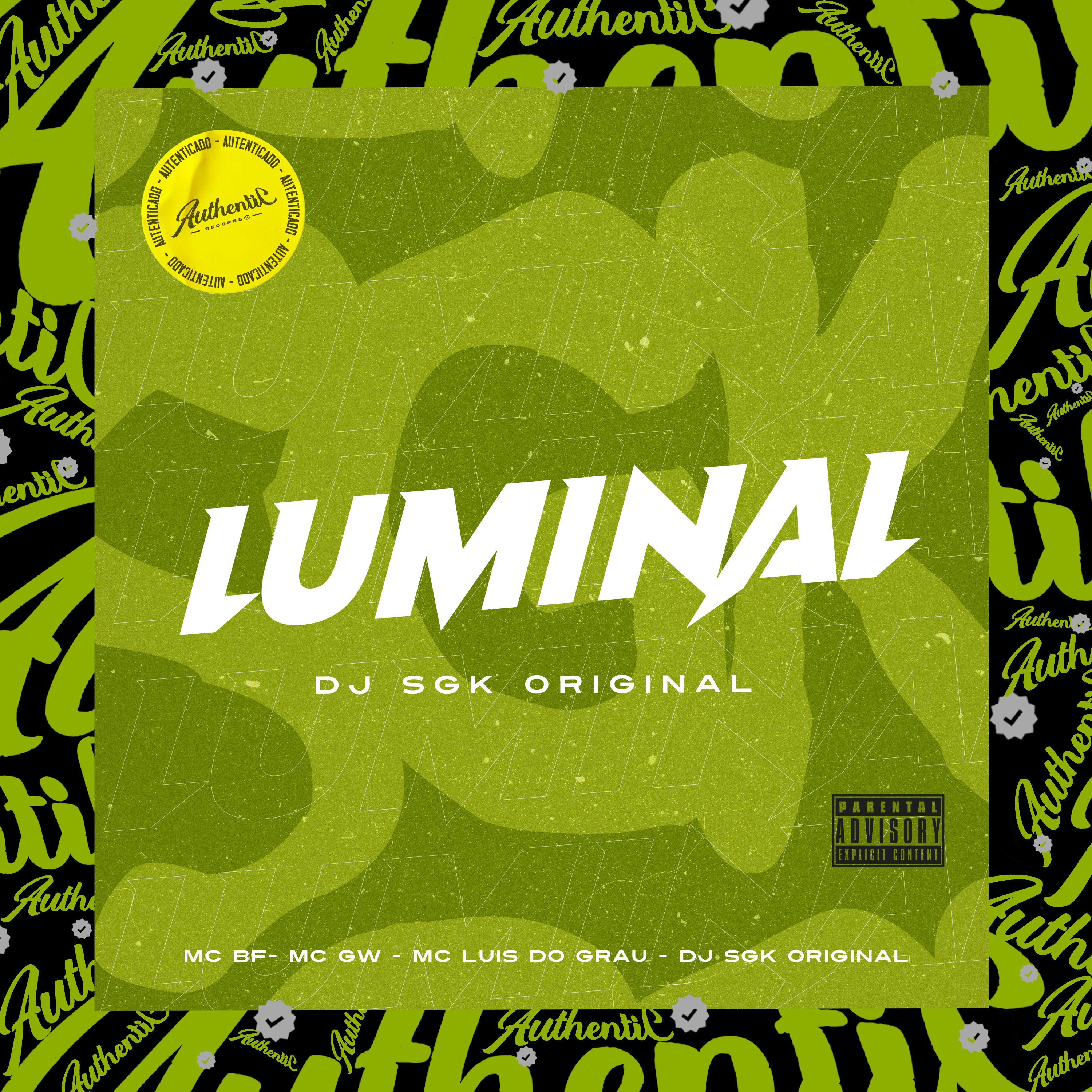 DJ SGK ORIGINAL - Luminal