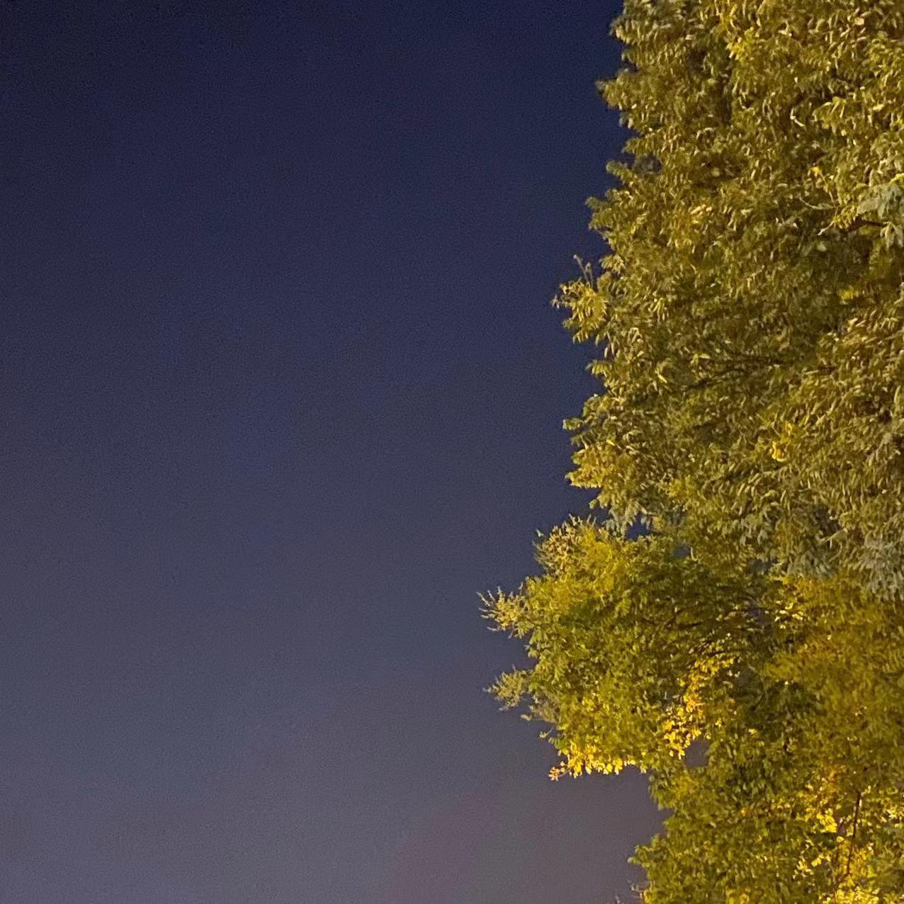 无月夜