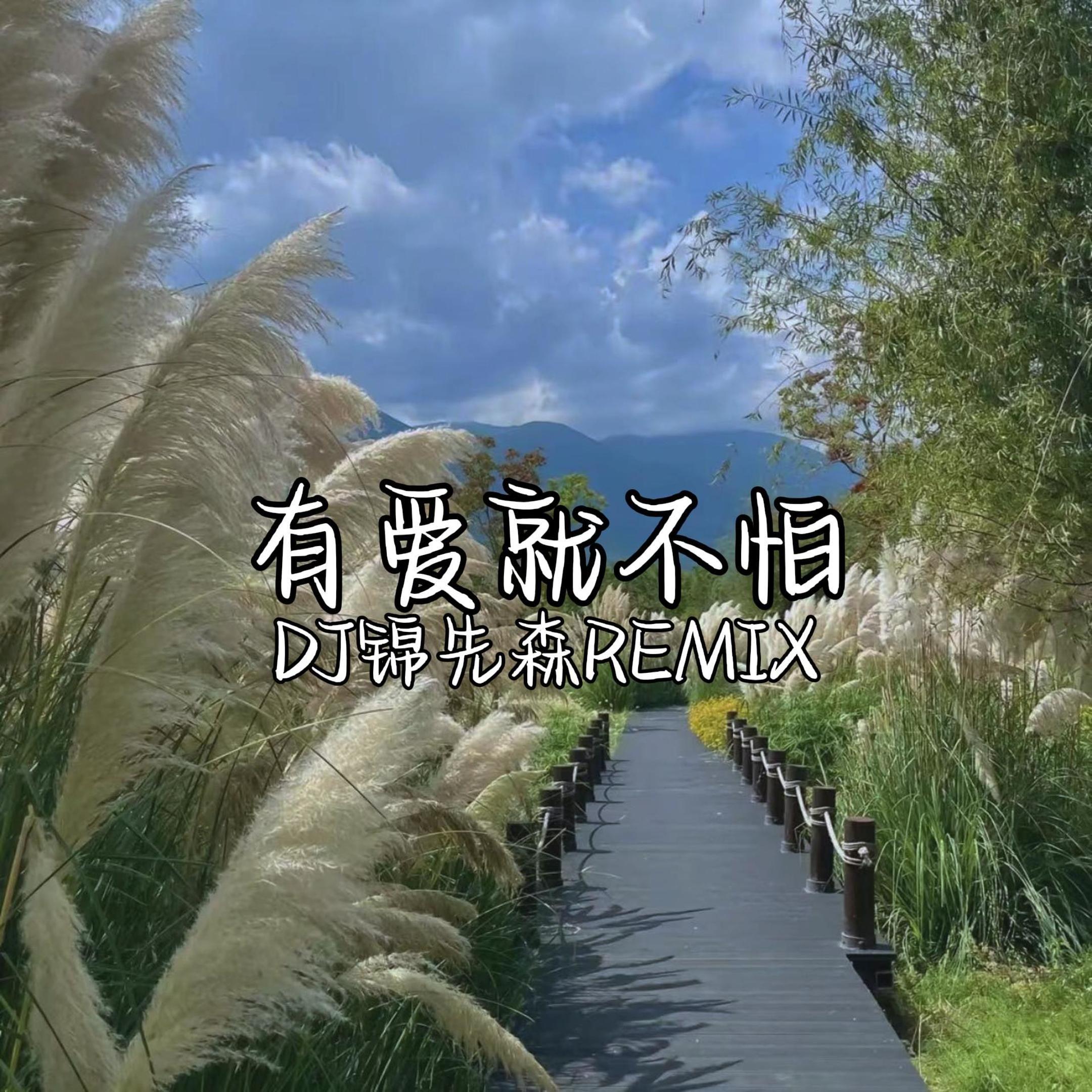 有爱就不怕（DJ锦先森 Remix）