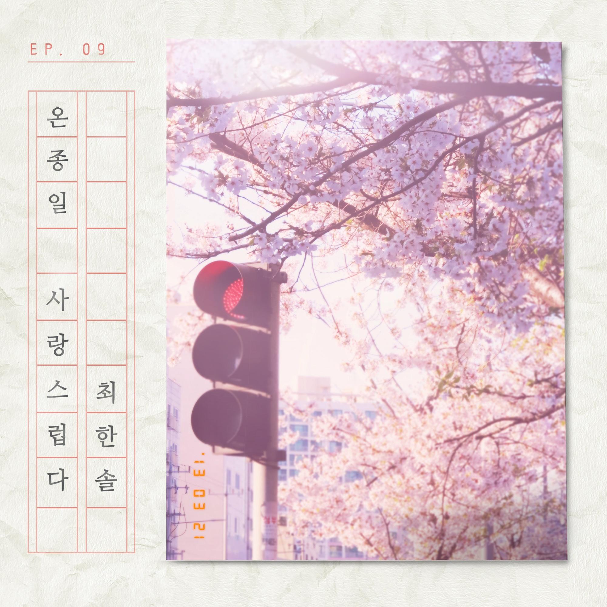 온종일 사랑스럽다