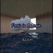 Paris In The Rain