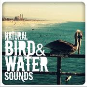 Natural Bird & Water Sounds