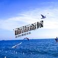 面海而候