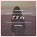 go honey（bootleg)