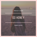 go honey（bootleg)专辑
