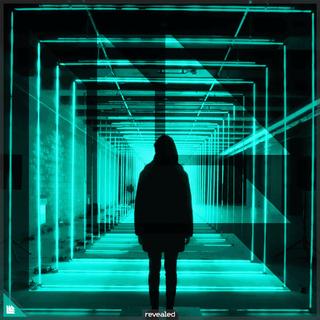 「世界顶级电子厂牌」Revealed Recordings