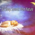 52 Sleep Sounds From Nature专辑