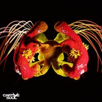 Ferry, Nokes - Don't Call Me (Extended Mix)