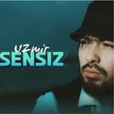 Sensiz