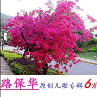 春天里的宝宝(王子仑词路保华曲牛牛编曲)