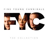 Suspicious Minds - Fine Young Cannibals (unofficial Instrumental) (1)