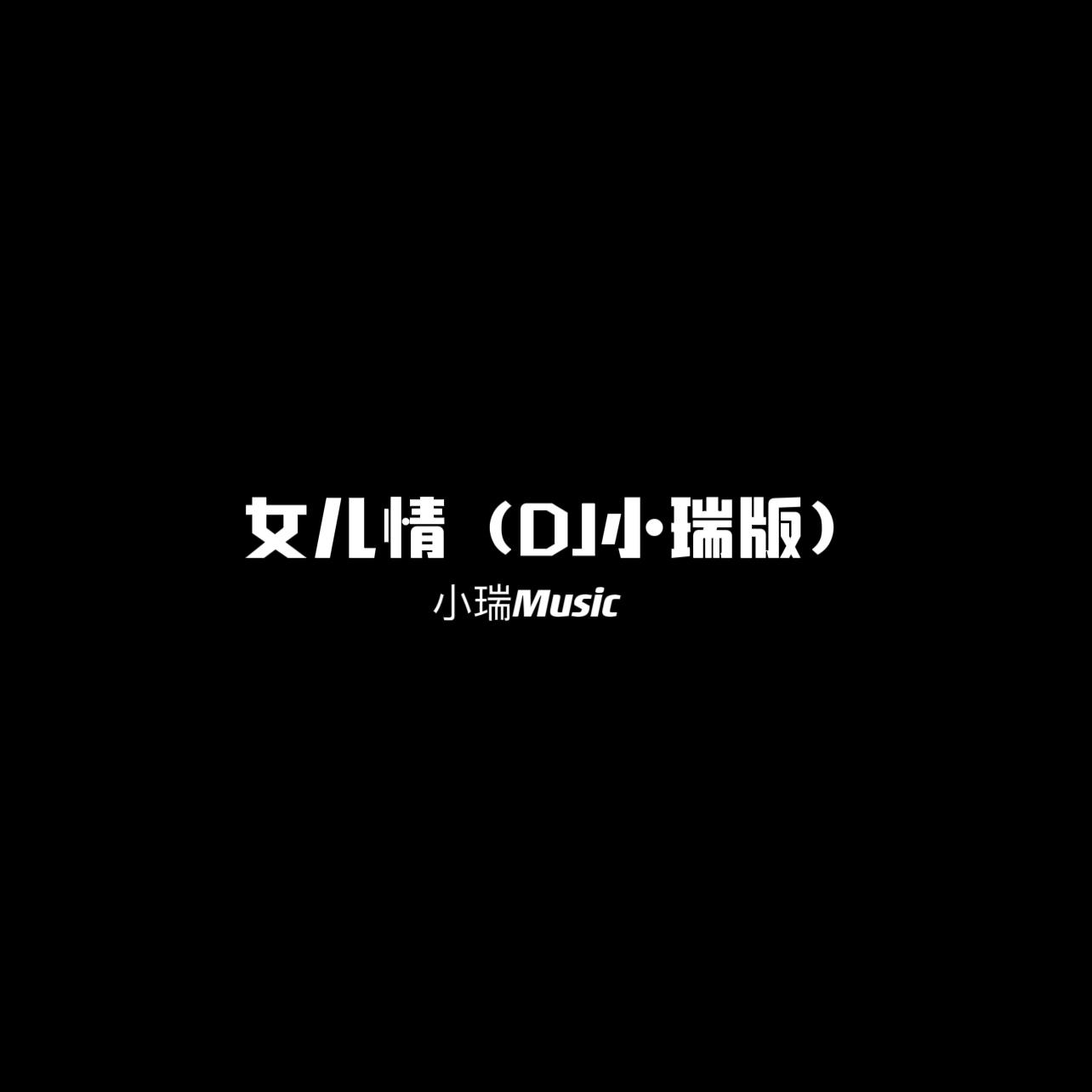女儿情（DJ小瑞版）
