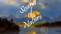 Sound of Nature专辑