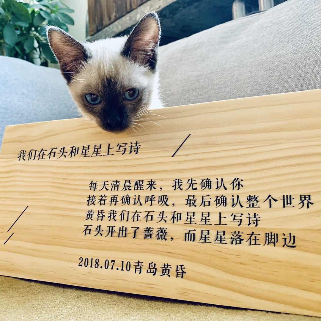 我把思念写成诗