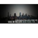 Soul in the City: New York, Vol. 5专辑