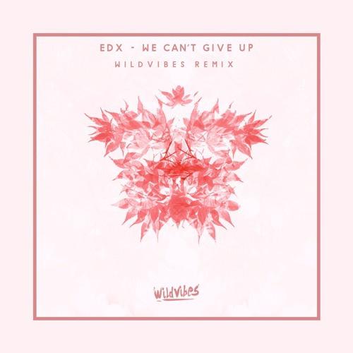 We Can't Give Up (WildVibes Remix)专辑