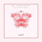 We Can't Give Up (WildVibes Remix)