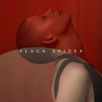 Black Spider专辑