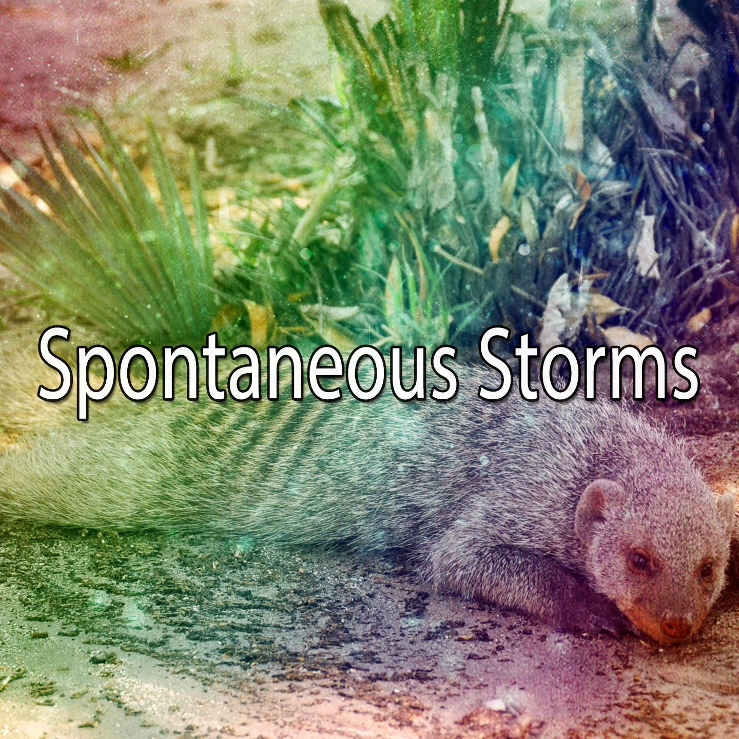 Spontaneous Storms专辑