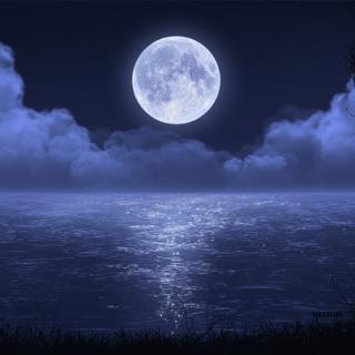 「纯音·雾夜集」淡烟疏澜，浅云润月