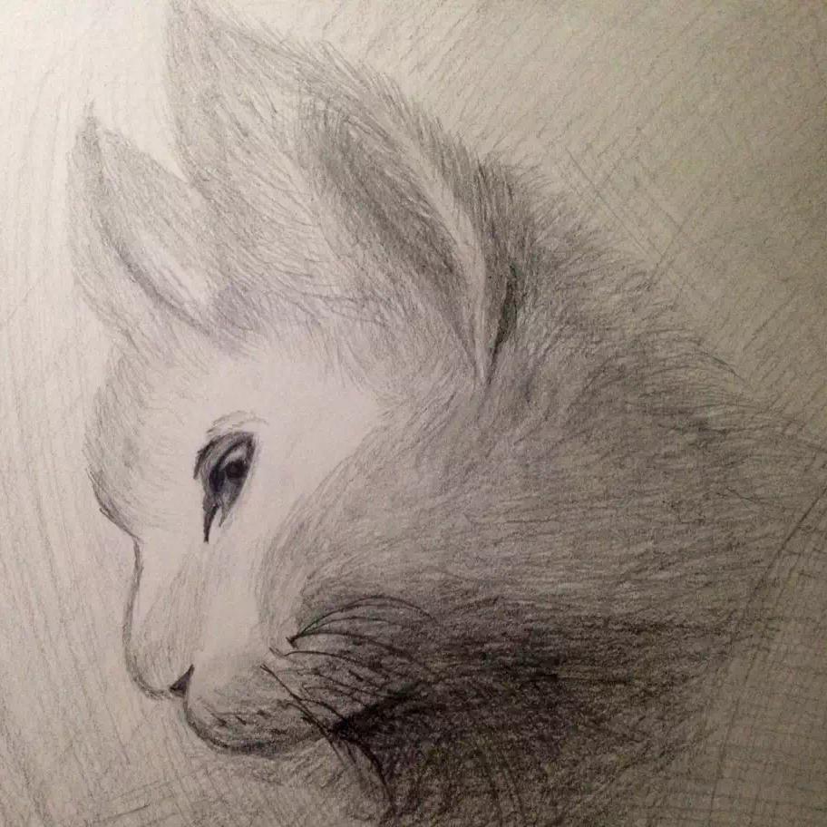 I Thought I Saw Your Face Today(Cover She&Him)