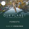 Forests (Episode 8 / Soundtrack From The Netflix Original Series "Our Planet")专辑