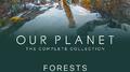 Forests (Episode 8 / Soundtrack From The Netflix Original Series "Our Planet")专辑