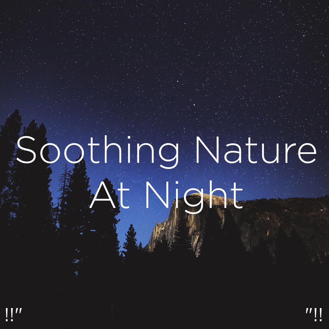 !!" Soothing Nature At Night "!!