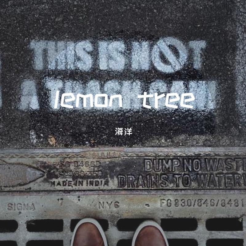 Lemon Tree（伴奏版） - 海洋 - 单曲 - 网易云音乐