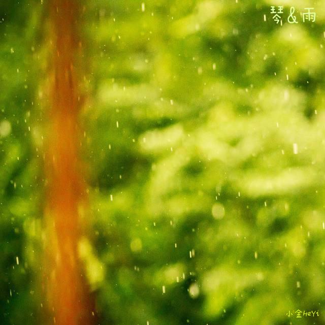 琴&雨