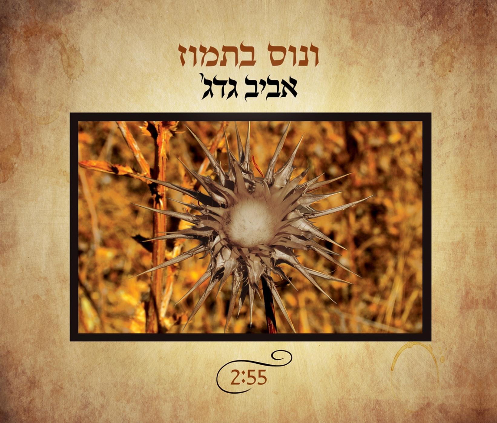 ונוס בתמוז
