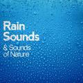 Rain Sounds & Sounds of Nature