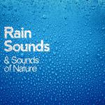 Rain Sounds & Sounds of Nature专辑