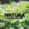 Natura专辑