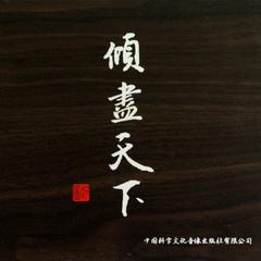 专辑《倾尽天下》