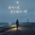 我听人说思念像风一样（抖音热播）