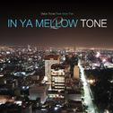 IN YA MELLOW TONE2专辑