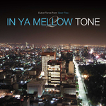 IN YA MELLOW TONE2专辑