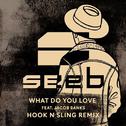 What Do You Love (Hook N Sling Remix)专辑