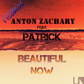 Beautiful Now Cover&Remix