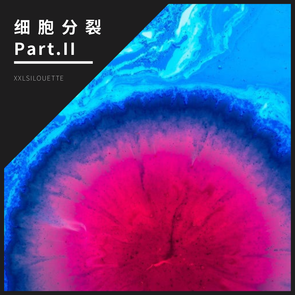 细 胞 分 裂 Part.II专辑