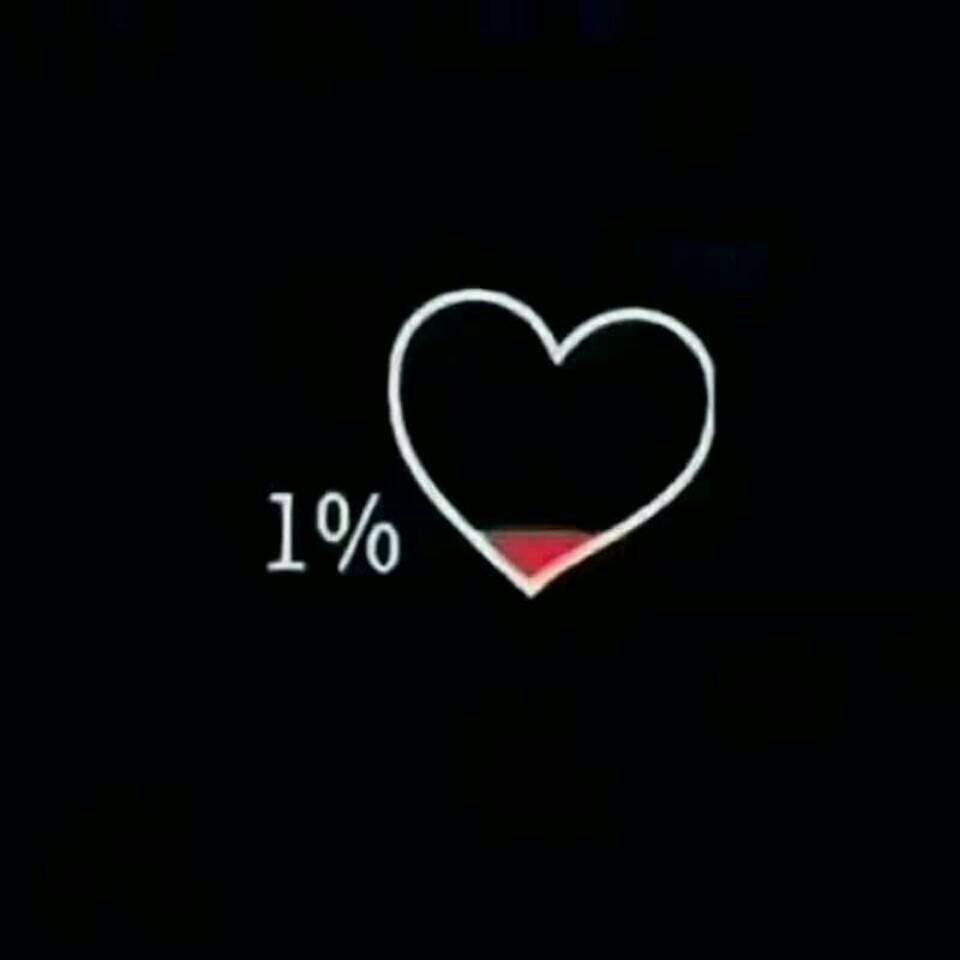 Tas ikan（不容易）