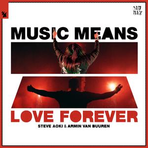 Steve Aoki & Armin Van Buuren - Music Means Love Forever (BB Instrumental) 无和声伴奏