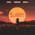 Sunny